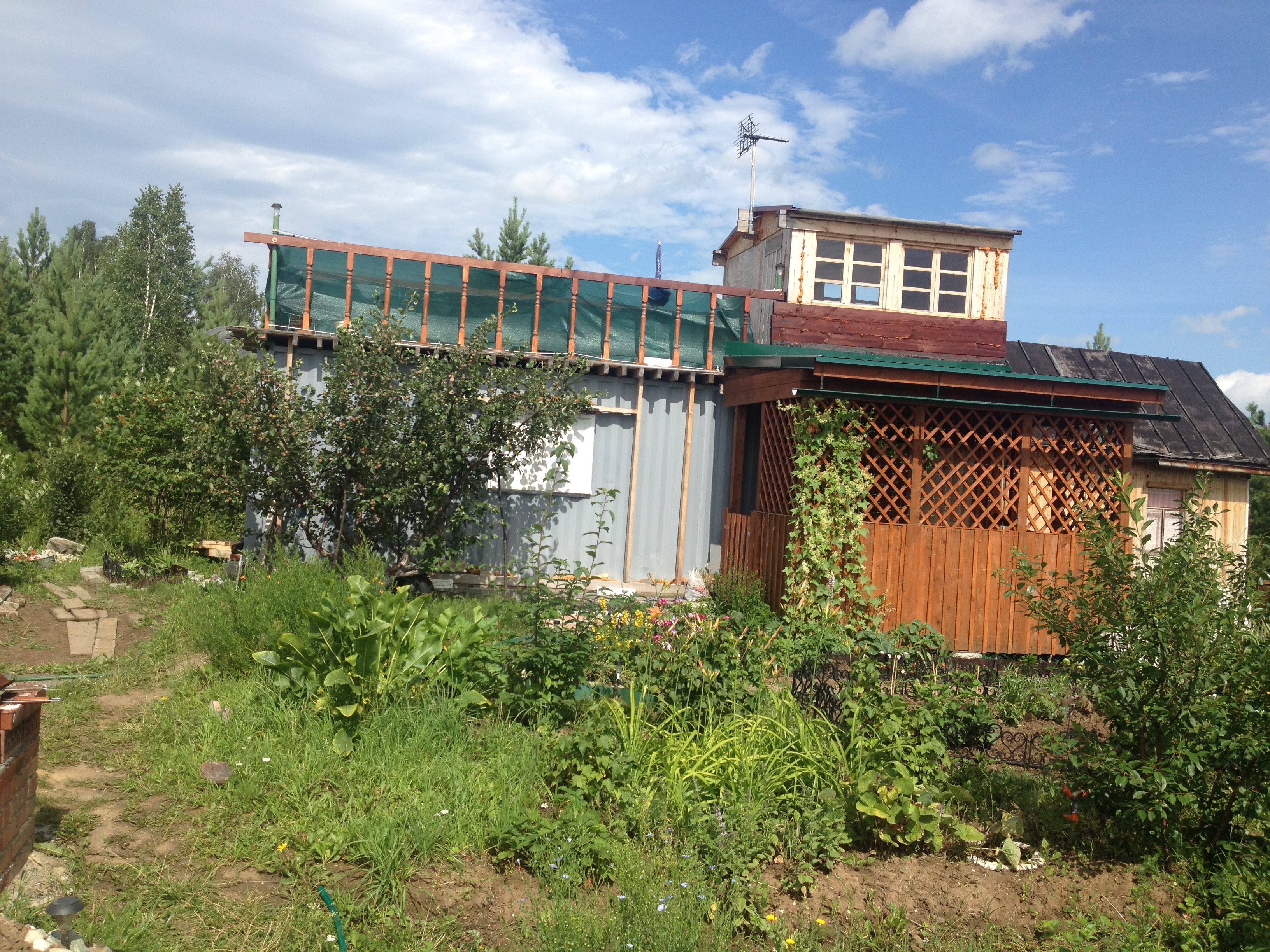 House from the container in the garden